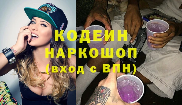 дживик Семилуки