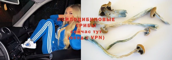 каннабис Аркадак