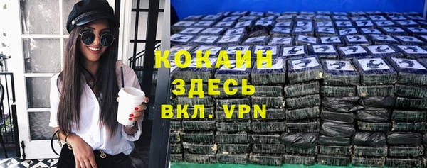 дмт Арсеньев