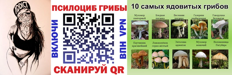 это какой сайт  Приозерск  Галлюциногенные грибы MAGIC MUSHROOMS 